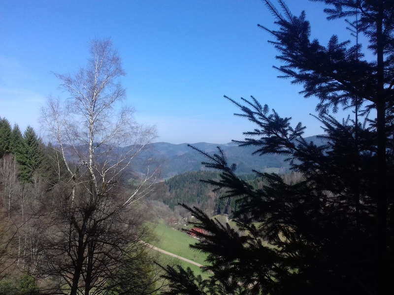 im Schwarzwald
