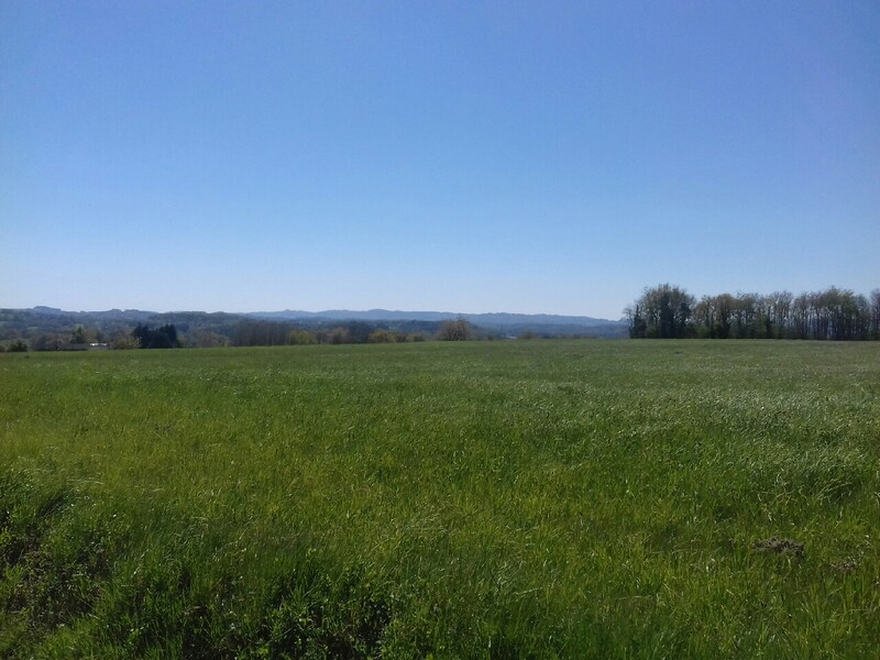 Datei:20170421 2 unterwegs.jpg