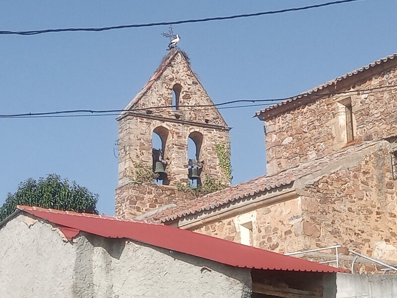 Datei:Mailupload-20240320-4 Storch auf der Kirche.jpg