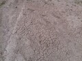 Vorschaubild der Version vom 23:15, 25. Feb. 2020