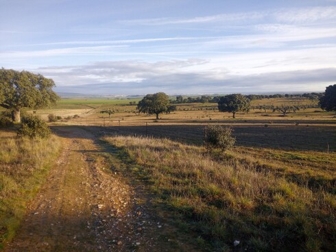 Mailupload-20240315-2 am Horizont erscheint Salamanca.jpg