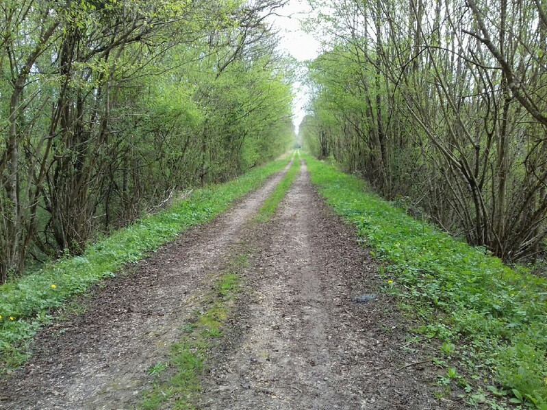 Datei:20170404 3 wieder viele Kilometer gerade aus.jpg